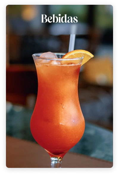 Bebidas